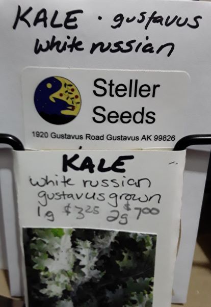 Alaska Grown Kale Seeds